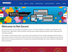 Tablet Screenshot of netsavant.org